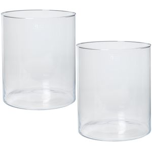 Set van 2x stuks transparante home-basics cilinder vaas/vazen van glas 30 x 35 cm