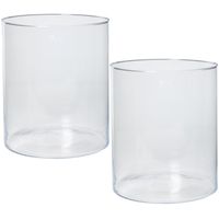 Set van 2x stuks transparante home-basics cilinder vaas/vazen van glas 30 x 35 cm