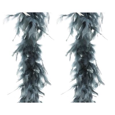 2x stuks carnaval verkleed veren Boa kleur grijs 2 meter