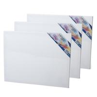 Gerimport Canvas schildersdoek - 4x - 50 x 40 cm - rechthoekig - doek