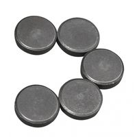 20x Ronde magneten 20 x 5 mm