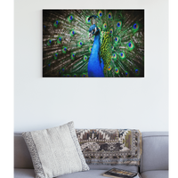 Aluminium Textiel Frame - Pillow Buddies
