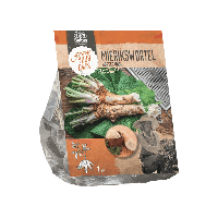 Bloembollen Mierikswortel Baltus - Baltus