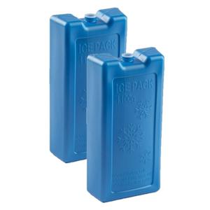 PlasticForte Koelementen - 4x stuks - 1,1 kg - 22 x 11 x 5 cm - extra groot