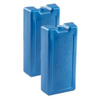 PlasticForte Koelementen - 4x stuks - 1,1 kg - 22 x 11 x 5 cm - extra groot