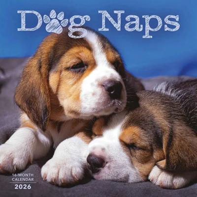 Dog Naps Kalender 2026 Dog Naps Kalender 2026