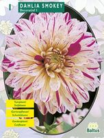 Zomer Bloembollen Dahlia Smokey per 1 Baltus - Baltus