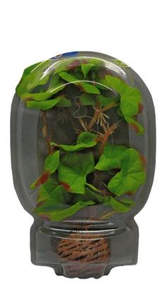 Superfish easy plant laag 13 cm nr. 1 - Superfish