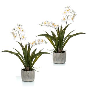 Set van 2x stuks witte orchidee Orchidaceae kunstplanten in keramische pot 45 cm