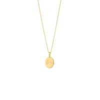 Ketting Dames Secrecy P7219CDAWWC93 42 cm