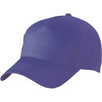 2x stuks 5-panel baseball petjes /caps in de kleur paars