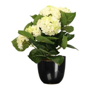 Hortensia kunstplant/kunstbloemen 36 cm - wit/groen - in pot zwart glans