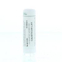 Homeoden Heel Causticum LM1 6 Gram