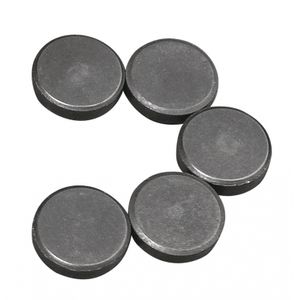 40x Ronde magneten 20 x 5 mm