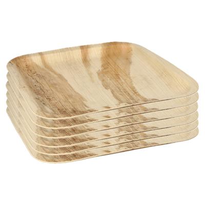Conpax Wegwerp servies - borden - vierkant - 18x stuks - 25 x 25 cm - biologisch/composteerbaar