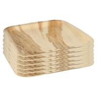 Conpax Wegwerp servies - borden - vierkant - 18x stuks - 25 x 25 cm - biologisch/composteerbaar