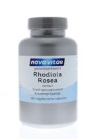 Rhodiola rosea extract - thumbnail