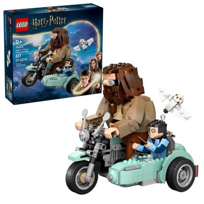 LEGO HARRY POTTER 76443 Hagrid & Harry's motortocht