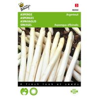 5 stuks Asperge Argenteuil Tuinplus - thumbnail