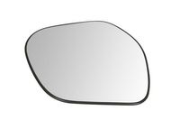 Spiegelglas, buitenspiegel 6102021232859P