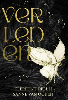 Verleden (Paperback)