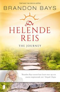 De helende reis - Brandon Bays - ebook
