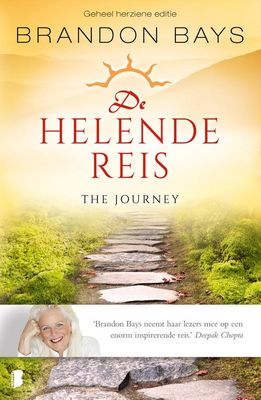 De helende reis - Brandon Bays - ebook