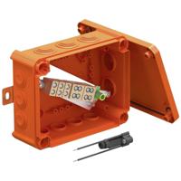 OBO Bettermann 7205754 Aftakdoos Met schroefklemmen, Halogeenvrij (l x b) 190 mm x 150 mm 1 stuk(s)
