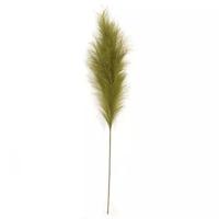 Pampas Gras 60 cm Mos groen kunstplant - Buitengewoon de boet
