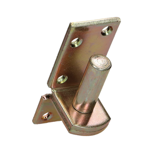 pgb-Europe FG | Plaatduim 16x45 ZnGeel FG02550021645385