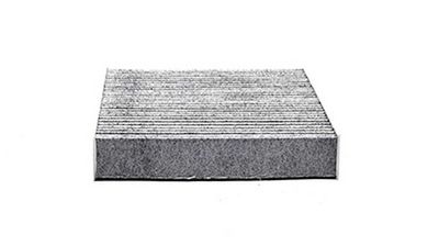Interieurfilter BSG30145013