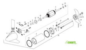 Set koolborstels en pakkingen Maxxum en Traxxis 24V 80Lbs