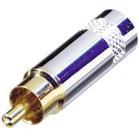 Rean AV NYS352G Cinch-connector Stekker 1 stuk(s)