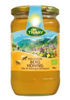 Traay Berghoning bio