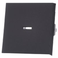 029028  - Cover plate for switch/push button 029028 - thumbnail