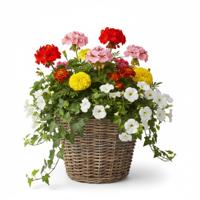 VD Leeden Plantenmand Klassiek - rond - bruin - 25 x 19 cm - rotan - gevlochten riet - bloemenmand