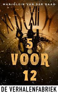 Vijf voor Twaalf - Marjolein van der Gaag - ebook