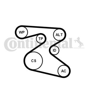 Poly V-riem set CONTINENTAL CTAM, u.a. für Seat, Skoda, VW