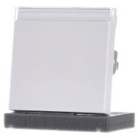 029903  - Cover plate for switch/push button white 029903 - thumbnail
