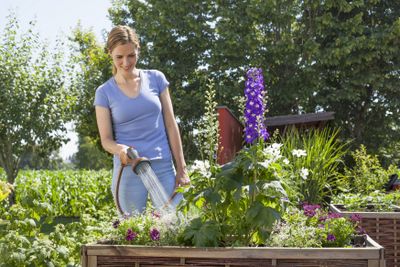 GARDENA Comfort broes voor bloembedden