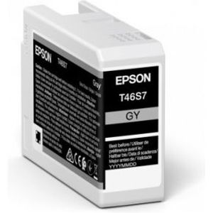 Epson UltraChrome Pro inktcartridge 1 stuk(s) Origineel Grijs