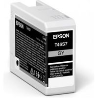 Epson UltraChrome Pro inktcartridge 1 stuk(s) Origineel Grijs - thumbnail