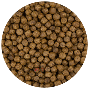Pond Pro 6mm Koivoer Pellets - Compleet en Evenwichtig Koi Dieet - 10kg Zak