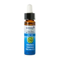 Ladrome Rock rose/zonneroosje 18 bio