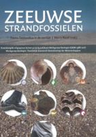 Natuurgids Zeeuwse strandfossielen | de Drvkkery Schrijverspodium - thumbnail