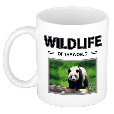 Foto mok Panda mok / beker - wildlife of the world cadeau Pandas liefhebber