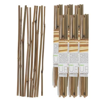 Gerimport Plantenstokken - 60x stuks - 30 cm - plantensteun / tonkinstokken