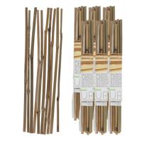 Gerimport Plantenstokken - 60x stuks - 30 cm - plantensteun / tonkinstokken