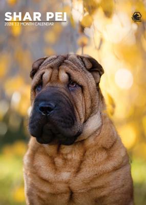 Shar Pei A3 Kalender 2026