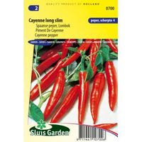 Spaanse peper zaden - Cayenne long slim - thumbnail